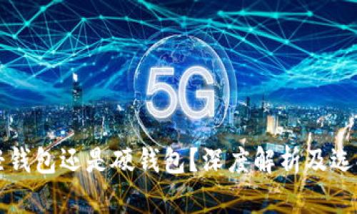 TP是轻钱包还是硬钱包？深度解析及选择指南