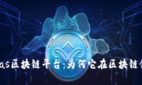 全面解析Velas区块链平台：为何它在区块链领域独树一帜