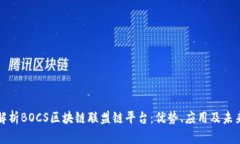 全面解析BOCS区块链联盟链