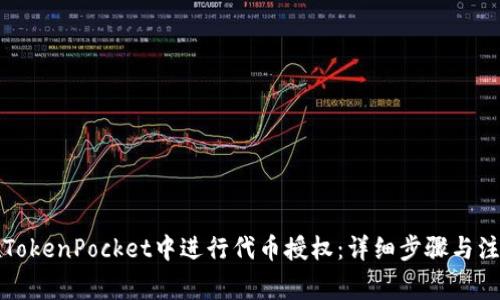 如何在TokenPocket中进行代币授权：详细步骤与注意事项