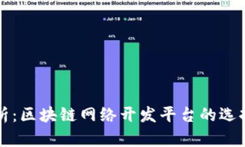 全面解析：区块链网络开发平台的选择与应用