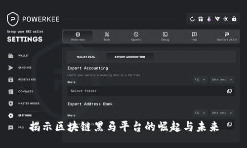 揭示区块链黑马平台的崛起与未来