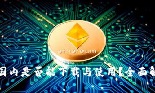 TP钱包在国内是否能下载与使用?全面解析与攻略