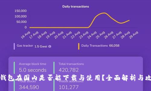 TP钱包在国内是否能下载与使用？全面解析与攻略