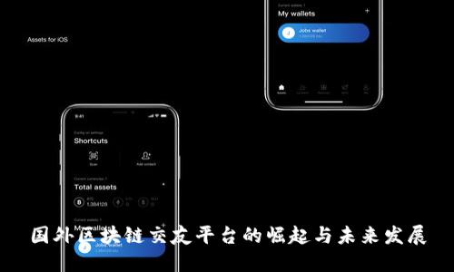 国外区块链交友平台的崛起与未来发展