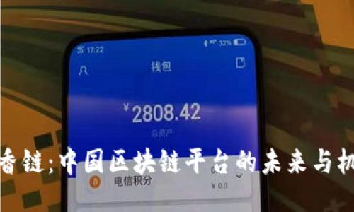 沉香链：中国区块链平台的未来与机遇