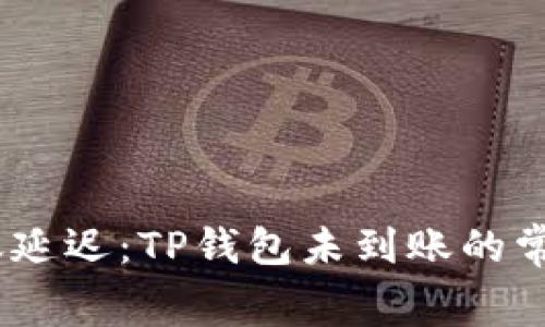 如何解决Pig币到账延迟:TP钱包未到账的常见原因与解决方法