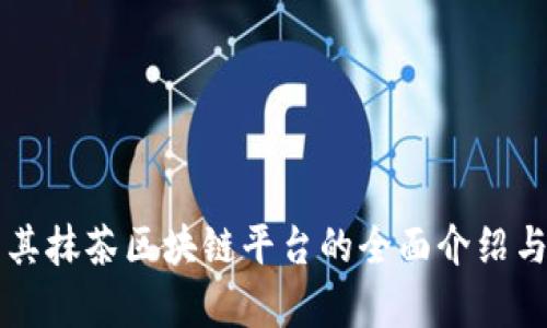 土耳其抹茶区块链平台的全面介绍与分析