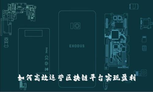 如何高效运营区块链平台实现盈利