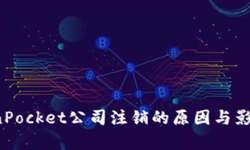  TokenPocket公司注销的原因与影响分析