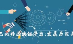 深度解析巴比特区块链平台：发展历程与未来趋